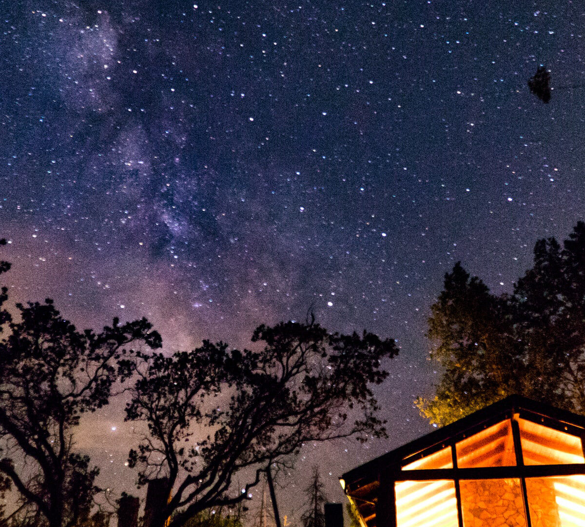 L'été, les étoiles, le bonheur. // Source : Unsplash/Jake Hinds (photo recadrée)