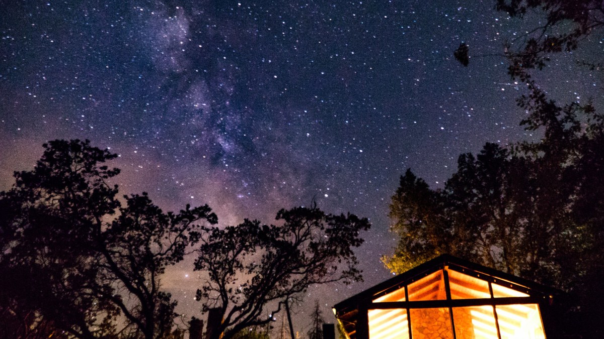 L'été, les étoiles, le bonheur. // Source : Unsplash/Jake Hinds (photo recadrée)