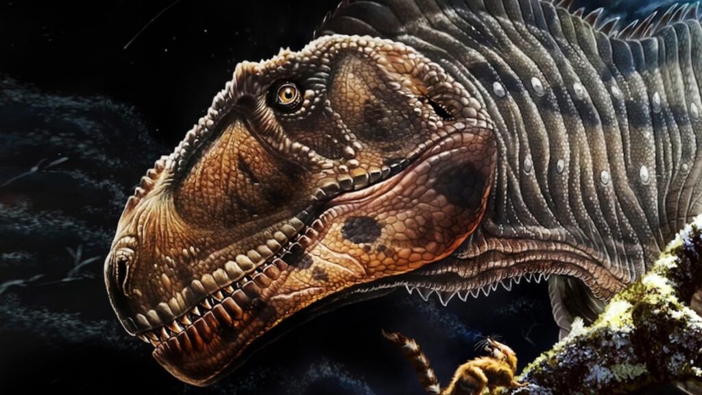 Représentation du dinosaure carnivore baptisé Meraxes gigas. // Source : Peter Makovicky
