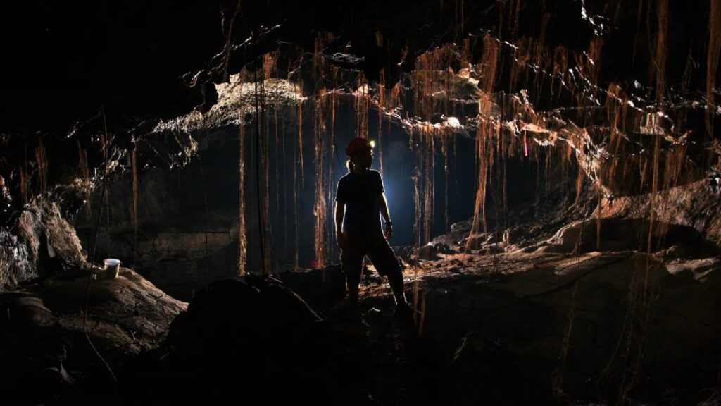 Le chercheur Steve Smith, dans l'une des caves où ont eu lieu les prélèvements. // Source : Kenneth Ingham