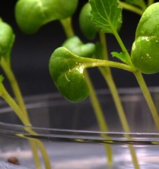 Source : Nature Food