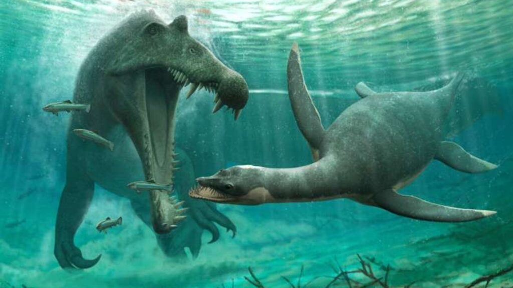 A droite, représentation du plésiosaure. // Source : University of Bath