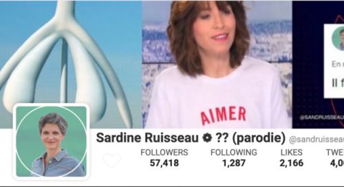 sardine ruisseau socialblade