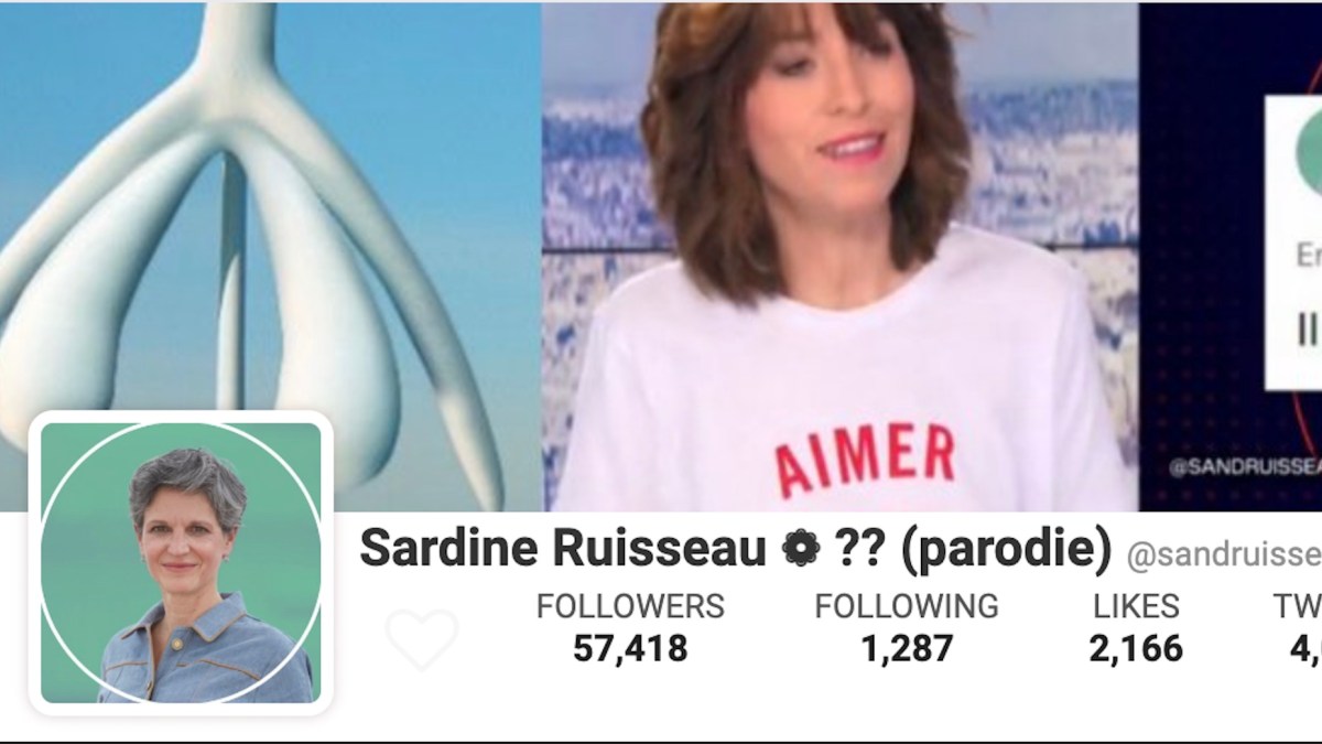 sardine ruisseau socialblade