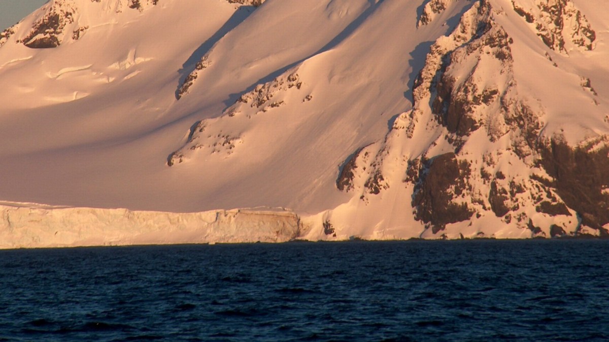 Antarctique, océan austral. // Source : Lyubomir Ivanov/Wikimédias/recadré