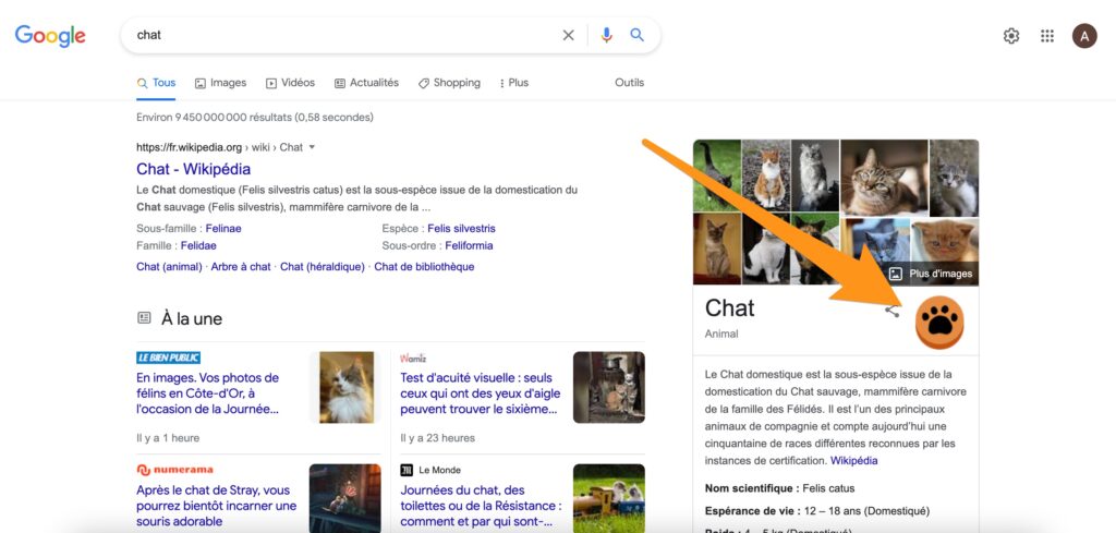 Le doodle chat de Google // Source : Capture d'écran Numerama