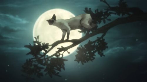 Un rêve de mille chats, épisode bonus de Sandman // Source : Netflix