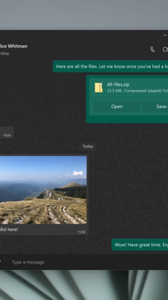 L'interface de WhatsApp pour Windows. // Source : WhatsApp / Numerama