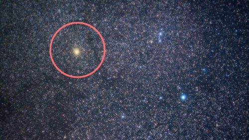 Bételgeuse dans Orion. // Source : Wikimedia/CC/Igor da Bari (photo recadrée et modifiée)