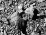 Dernière image de Dimorphos par DART. // Source : NASA/Johns Hopkins APL (photo recadrée)