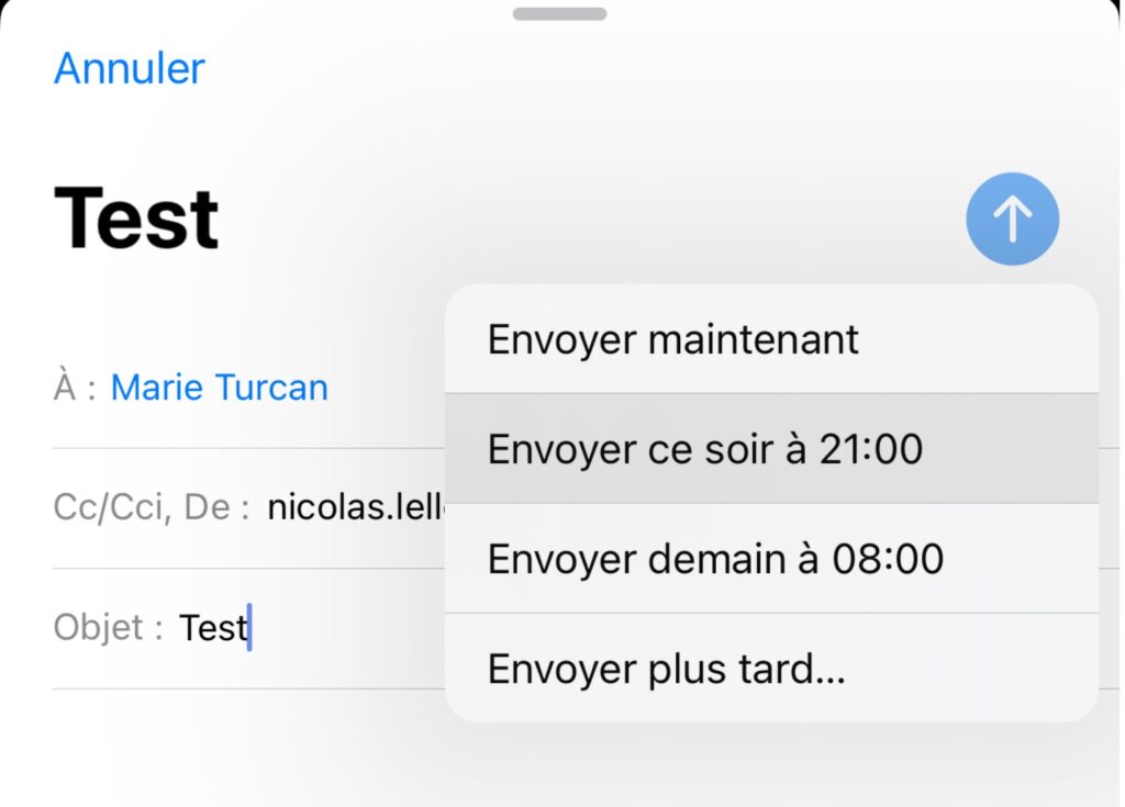 Pour programmer un message, restez quelques secondes sur la flèche bleue. // Source : Numerama