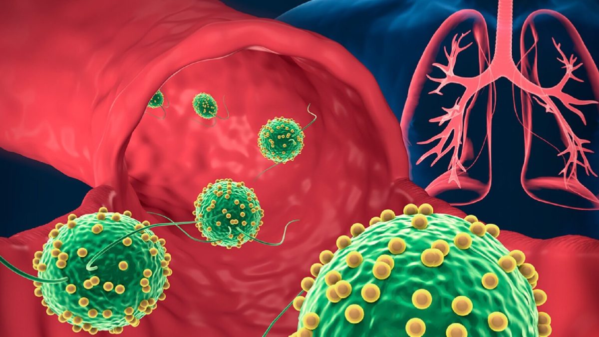 Microrobots utilisés pour guérir une pneumonie chez des souris. // Source : UCSD/Université San Diego