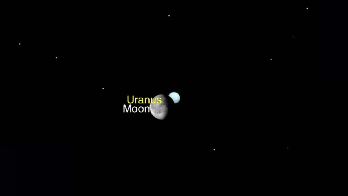 Occultation d'Uranus par la Lune vue de Paris. // Source : Capture d'écran The Sky Live