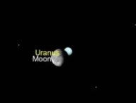Occultation d'Uranus par la Lune vue de Paris. // Source : Capture d'écran The Sky Live