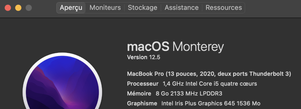 Exemple d'informations système d'un Mac. // Source : Capture d'écran