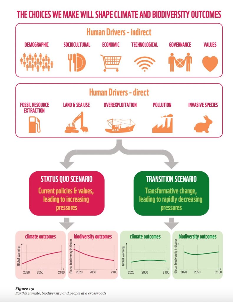 WWF infographic on the choices that can save species.  // Source: WWF