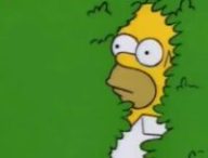 Homer se cache dans les buissons // Source : Les Simpson