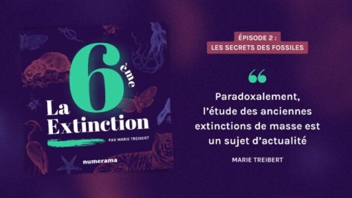 Épisode 2 du podcast La 6e Extinction // Source : Numerama
