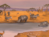 Savannah Park // Source : Super Meeple