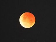 L'éclipse lunaire du 8 novembre 2022. // Source : Flickr/CC/Alpha (photo recadrée)