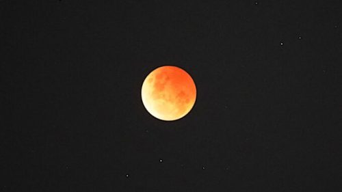 L'éclipse lunaire du 8 novembre 2022. // Source : Flickr/CC/Alpha (photo recadrée)