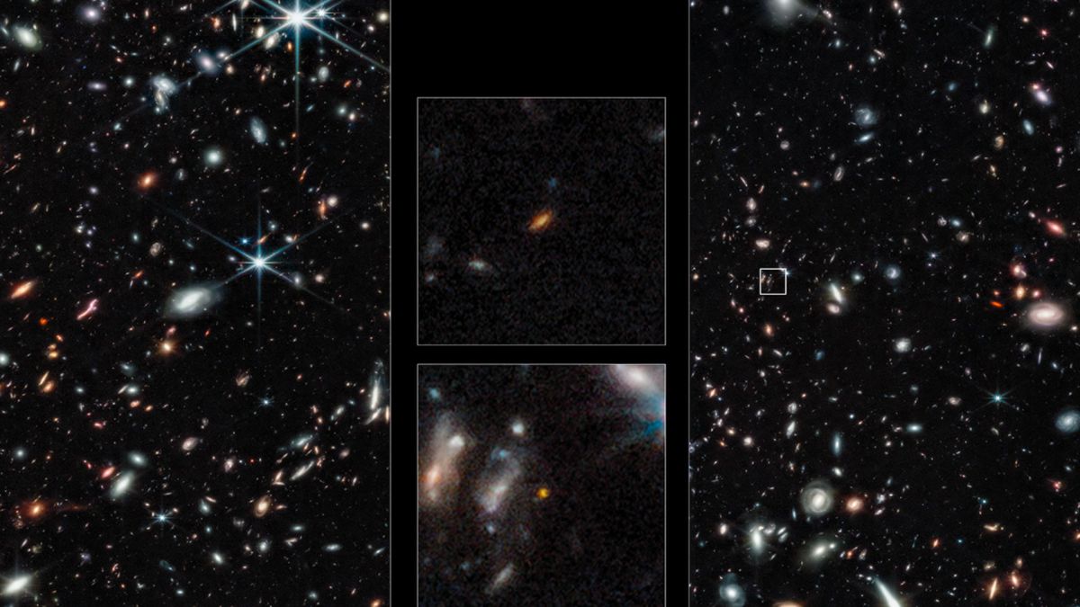 Les galaxies éloignées vues par James Webb. // Source : NASA, ESA, CSA, Tommaso Treu (UCLA) 