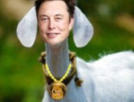 Elon Musk le goat // Source : Nino Barbey pour Numerama