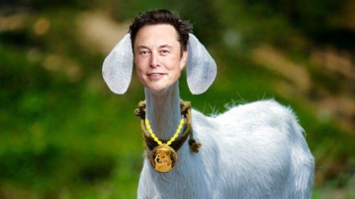 Elon Musk le goat // Source : Nino Barbey pour Numerama