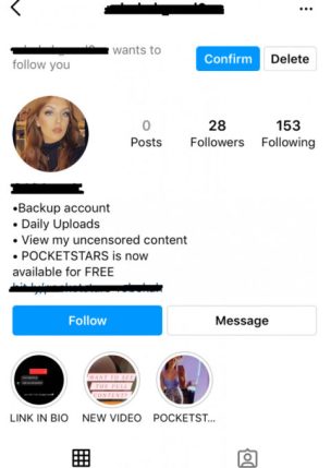 Les faux comptes sont nombreux sur Instagram mais manquent d'abonnés pour légitimer leur arnaque. // Source : Numerama
