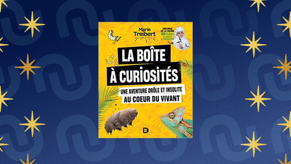 Idée cadeau Secret Santa : livre La Boîte à Curiosités