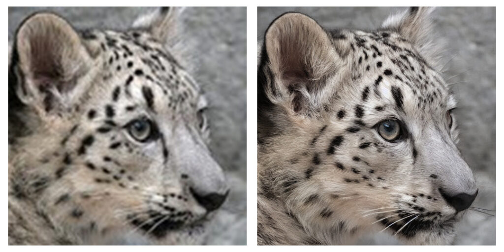 The difference between a photo created with the old version, and with the new // Source: StabilityAI