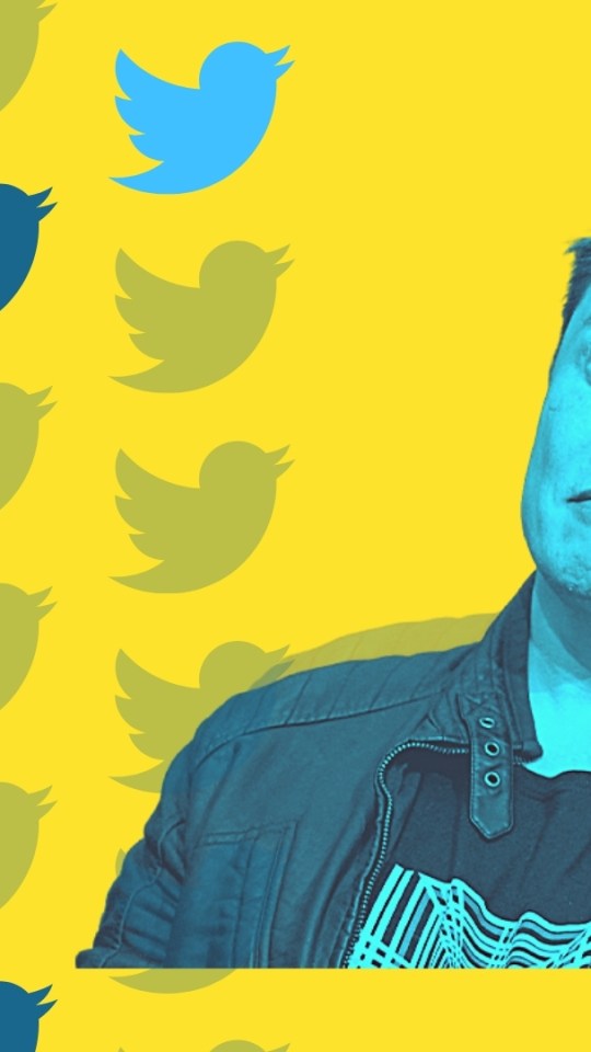 Elon Musk / Twitter // Source : Numerama