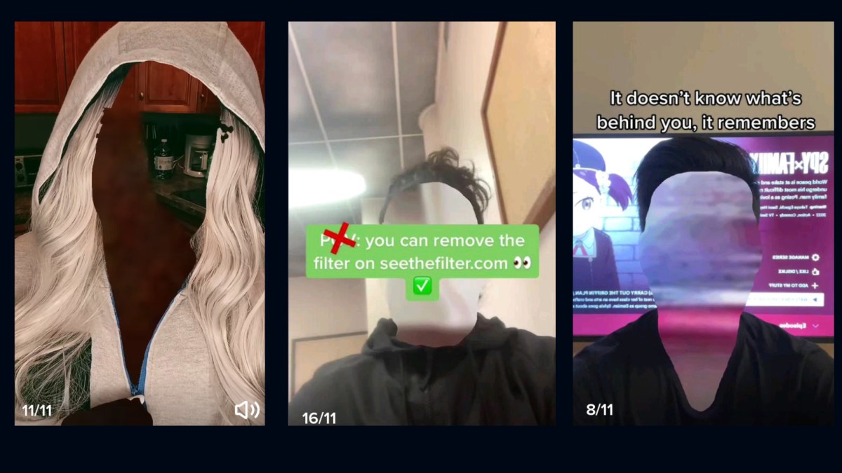 Une fausse appli sur TikTok. // Source : Numerama