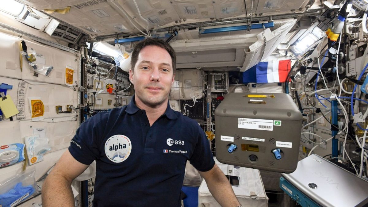 Thomas Pesquet dans l'iSS en 2021. // Source : ESA/NASA/2021