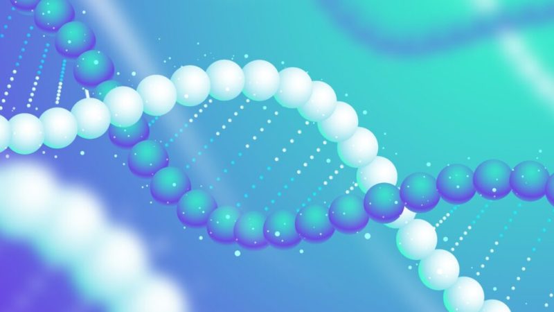 Un ingénieur britannique parvient à séquencer son ADN à domicile 