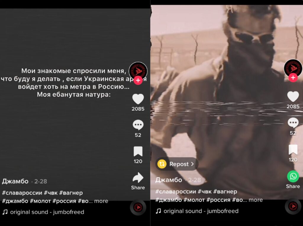 Une capture d’écran, réalisée par NewsGuard, d’une vidéo TikTok affichant en russe le texte suivant : “Mes amis m’ont demandé ce que je ferais si l’armée ukrainienne pénétrait d’un mètre en Russie”. Sur la droite, la même vidéo répond à la question avec une image d'une exécution de 2017 par le groupe Wagner. // Source : NewsGuard