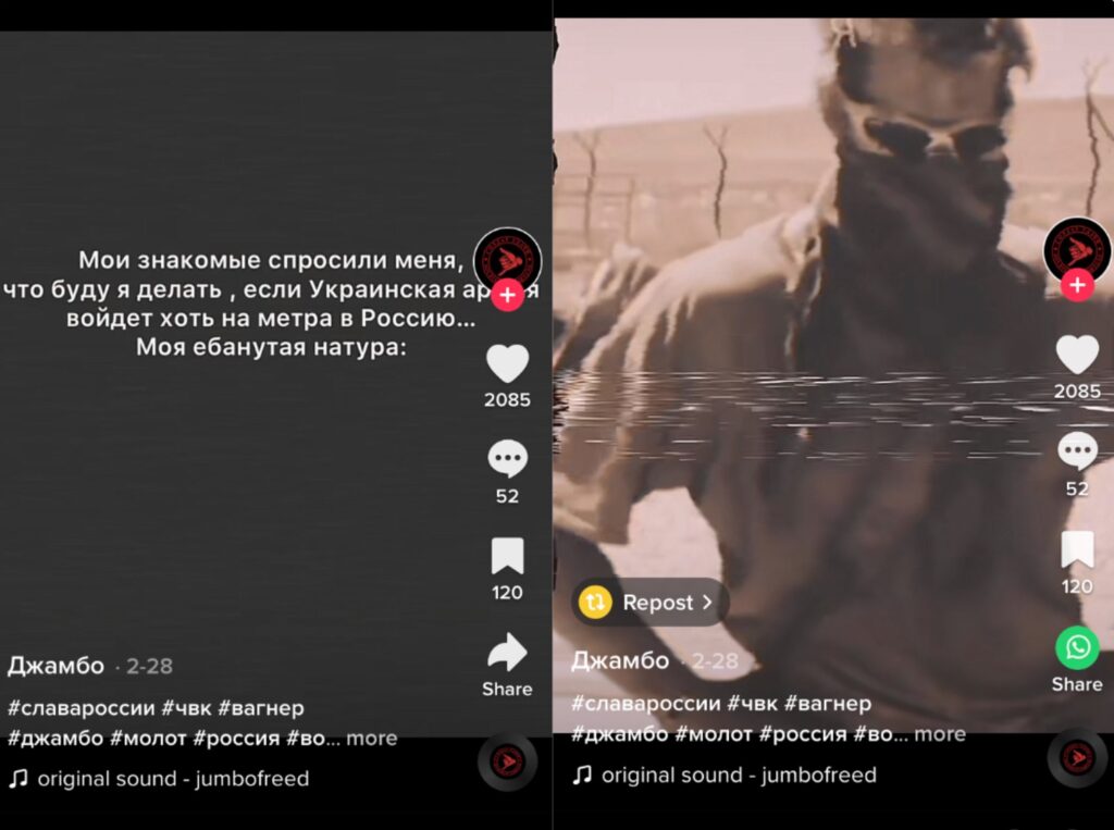 A screenshot, taken by NewsGuard, of a TikTok video displaying the following text in Russian: “My friends asked me what I would do if the Ukrainian army penetrated one meter into Russia”.  On the right, the same video answers the question with an image of a 2017 execution by the Wagner Group.  // Source: NewsGuard