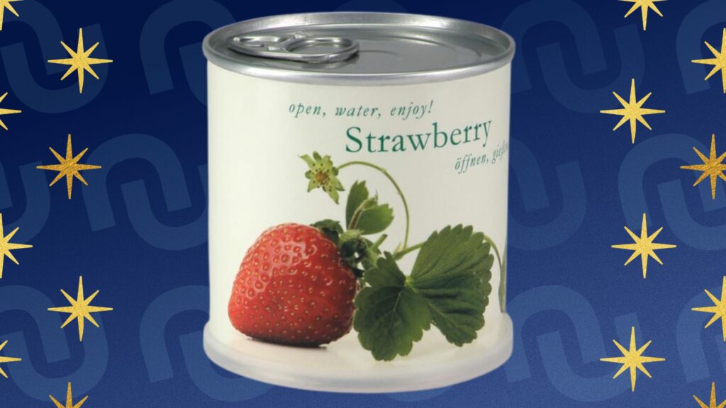 Conserve contenant des fraises à faire pousser pour un cadeau à moins de 10 € original