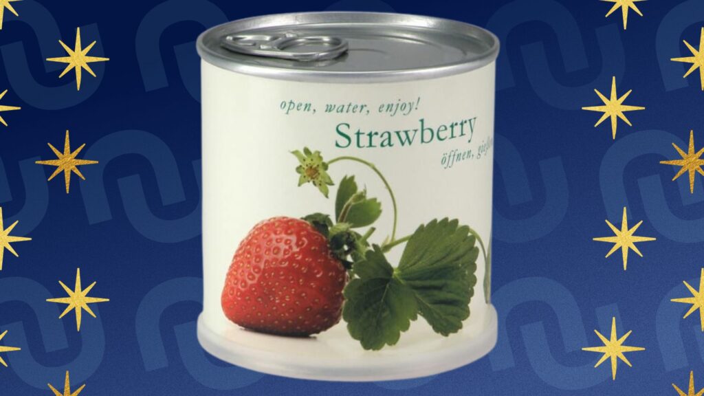 Conserve contenant des fraises à faire pousser pour un cadeau à moins de 10 € original Conserve contenant des fraises à faire pousser pour un cadeau à moins de 10 € original