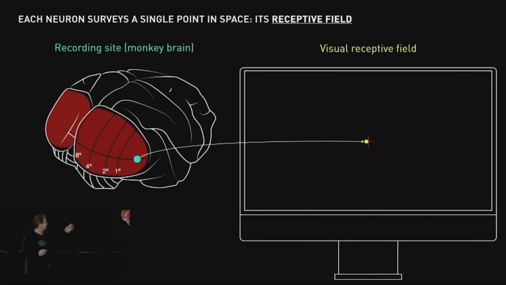 Objectif : générer l'image directement par impulsions électriques dans le cortex visuel. // Source : Neuralink