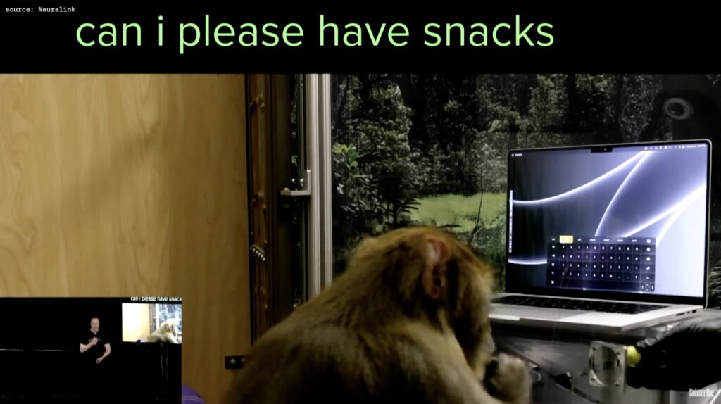 L'un des singes ayant été opérés avec une puce de Neuralink, faisant bouger le curseur d'un ordinateur. // Source : Neuralink L'un des singes ayant été opérés avec une puce de Neuralink, faisant bouger le curseur d'un ordinateur. // Source : Neuralink