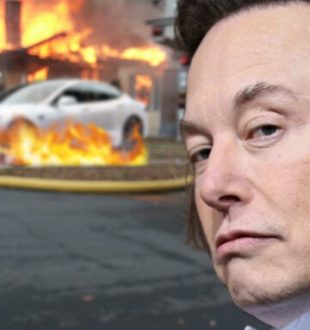 Pendant qu'Elon Musk s'occupe de Twitter, personne ne s'occupe de Tesla. // Source : Montage Numerama