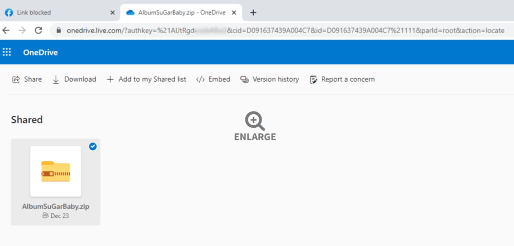 A photo album containing the malware uploaded to a Microsoft OneDrive account.  // Source: ZScaler