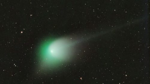 La comète ZTF est couleur émeraude. // Source : Flickr/CC/Tommy Wiklind (photo recadrée)