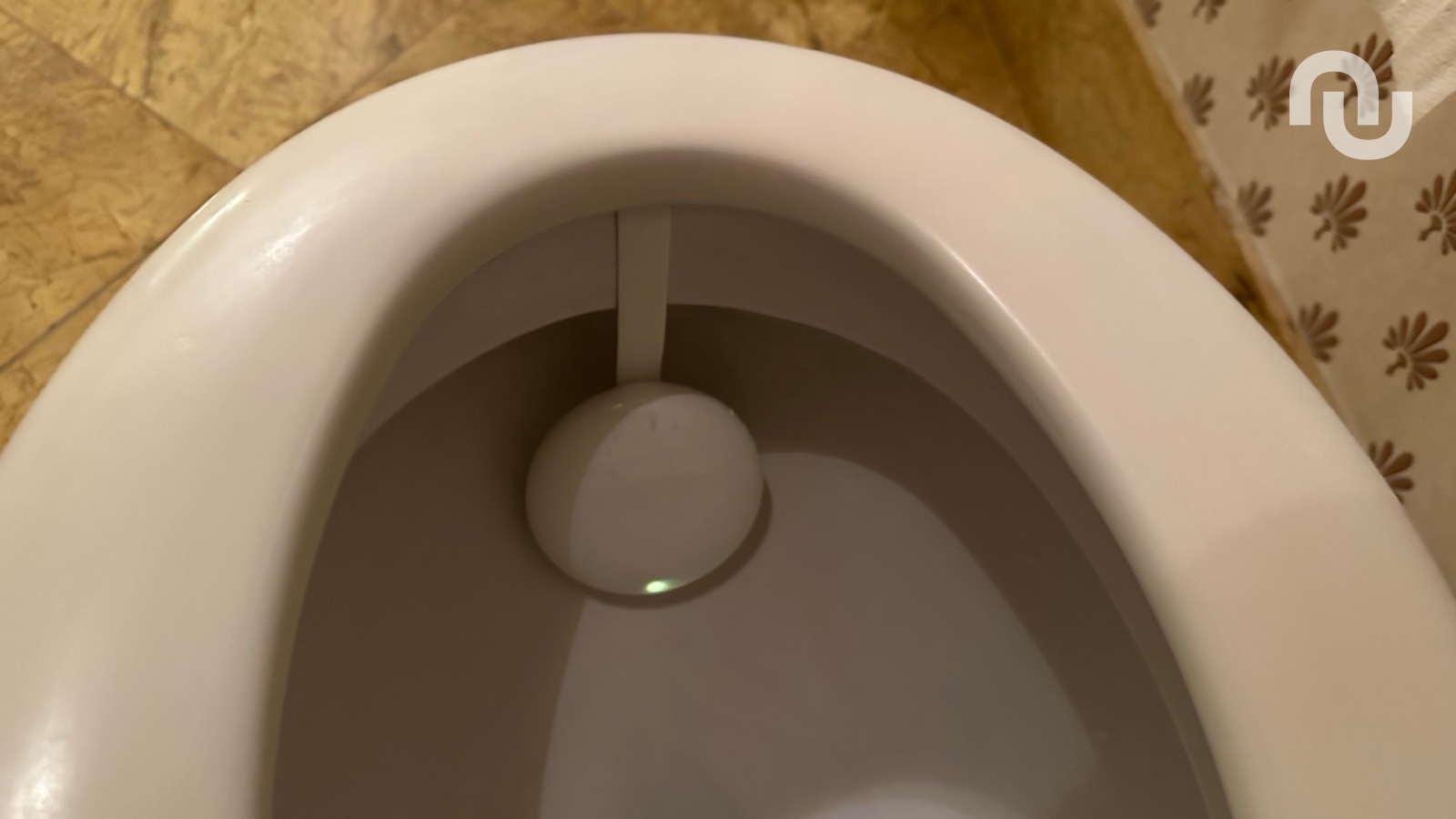 Êtes-vous enfin prêts à faire pipi sur un objet connecté ?