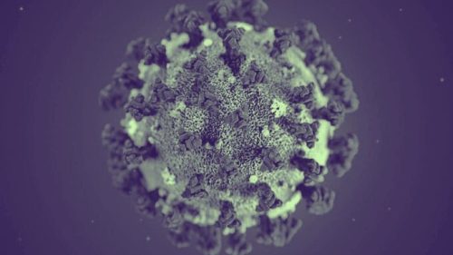 Le coronavirus donne lieu à la maladie Covid-19. // Source : Pixabay/modifié