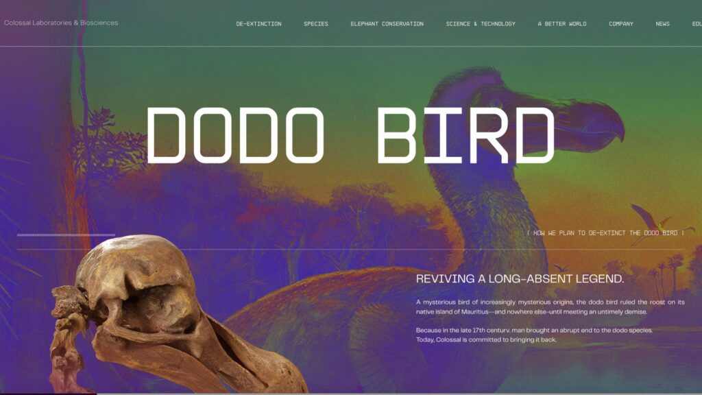 Capture d'écran de la page Dodo de Colossal Biosciences // Source : Colossal