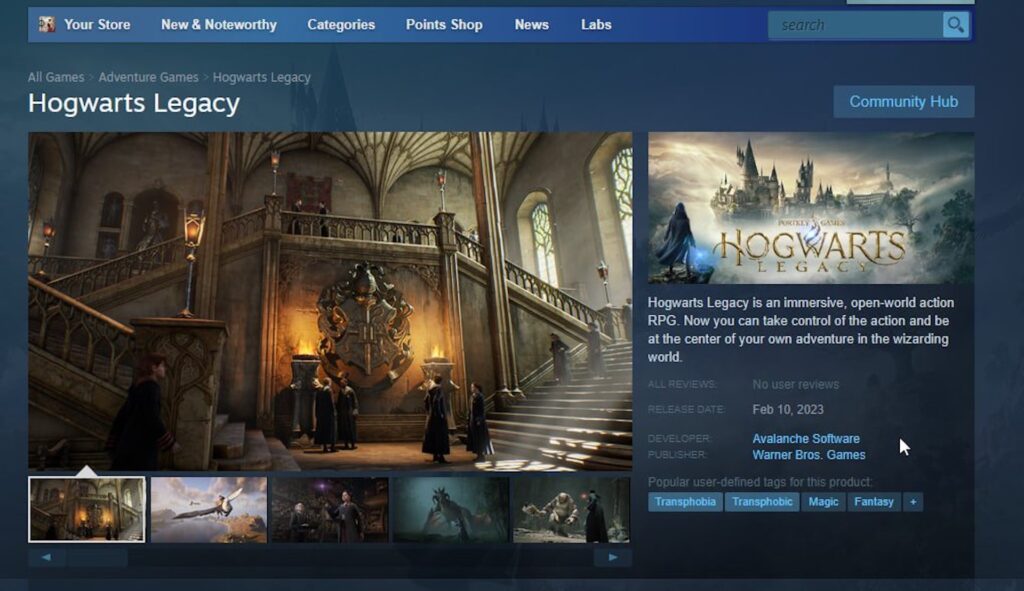 Page Steam de Hogwart Legacy avec des tags  // Source : Capture Twitter