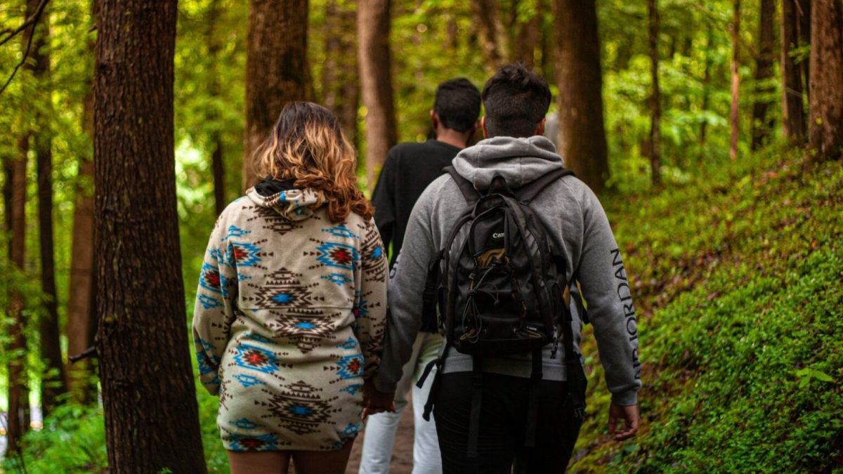 Une marche en nature // Source : Pexels