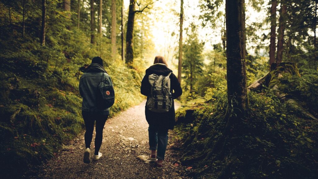 Marcher régulièrement dans des espaces naturels semble avoir un impact sur diverses conditions de santé. // Source : Pexels